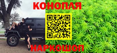 тгк Новодвинск