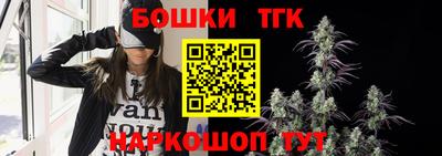 тгк Новодвинск