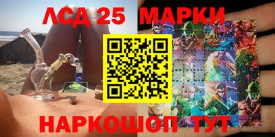 тгк Новодвинск
